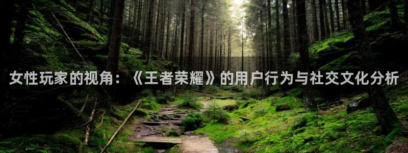 星欧娱乐登陆：女性玩家的视角：《王者荣耀》的用户行为与社交文