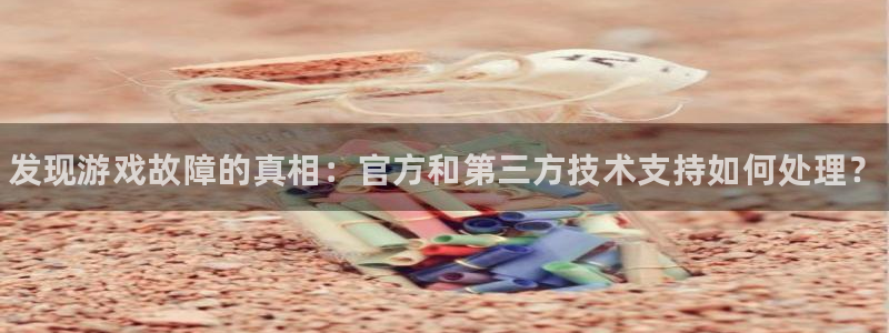 星欧娱乐注册网站：发现游戏故障的真相：官方和第三方技术支持如