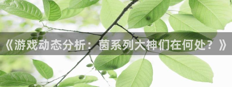 星欧娱乐是什么：《游戏动态分析：茵系列大神们在何处？》
