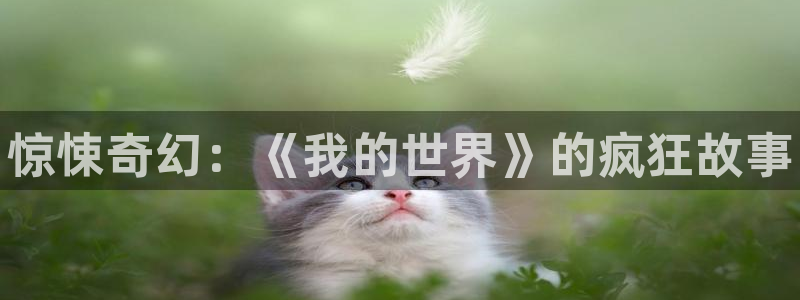 手机版星欧娱乐客户端下载：惊悚奇幻：《我的世界》的疯狂故事