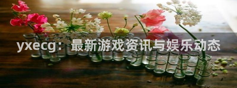 星欧娱乐平台登陆：yxecg：最新游戏资讯与娱乐动态