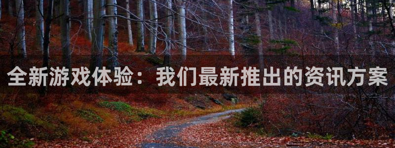 星欧娱乐平台负责人：全新游戏体验：我们最新推出的资讯方案