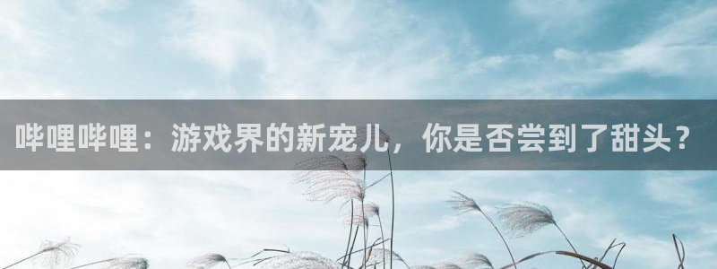 星欧娱乐测速：哔哩哔哩：游戏界的新宠儿，你是否尝到了甜头？