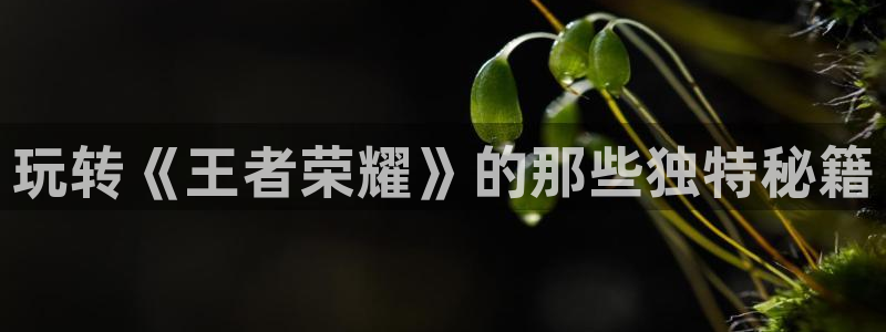 星欧娱乐登录地址：玩转《王者荣耀》的那些独特秘籍